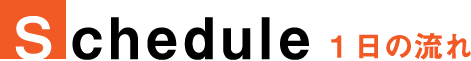 スケジュール　1日の流れ